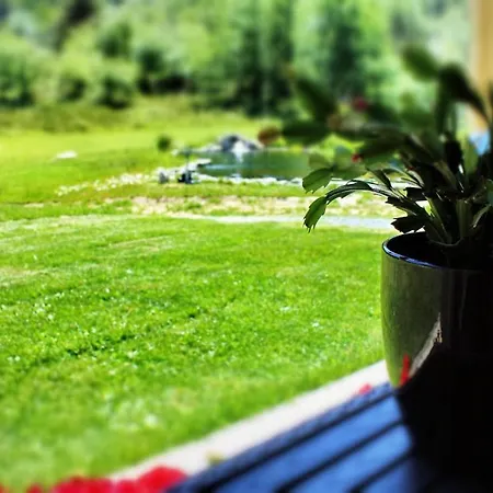 Il gufo reale a Cassinelle Bed & Breakfast Cremolino